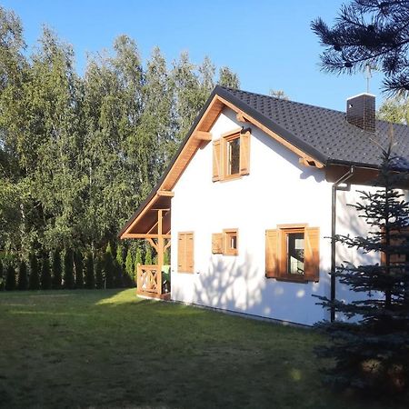 Domek Caloroczny Nad Jeziorem Budzislawskim, Wielkopolska Na Wynajem Anastazewo Екстер'єр фото