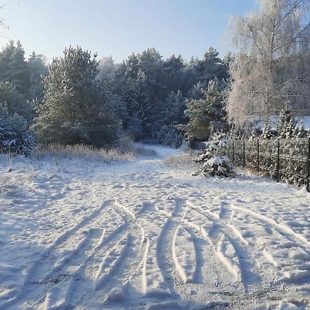 Domek Caloroczny Nad Jeziorem Budzislawskim, Wielkopolska Na Wynajem Anastazewo Екстер'єр фото