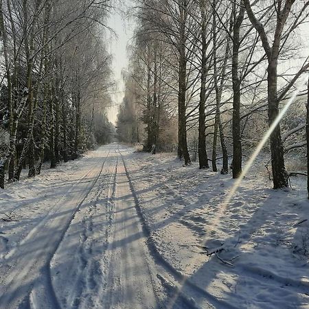 Domek Caloroczny Nad Jeziorem Budzislawskim, Wielkopolska Na Wynajem Anastazewo Екстер'єр фото