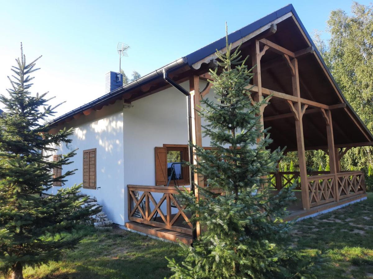 Domek Caloroczny Nad Jeziorem Budzislawskim, Wielkopolska Na Wynajem Anastazewo Екстер'єр фото