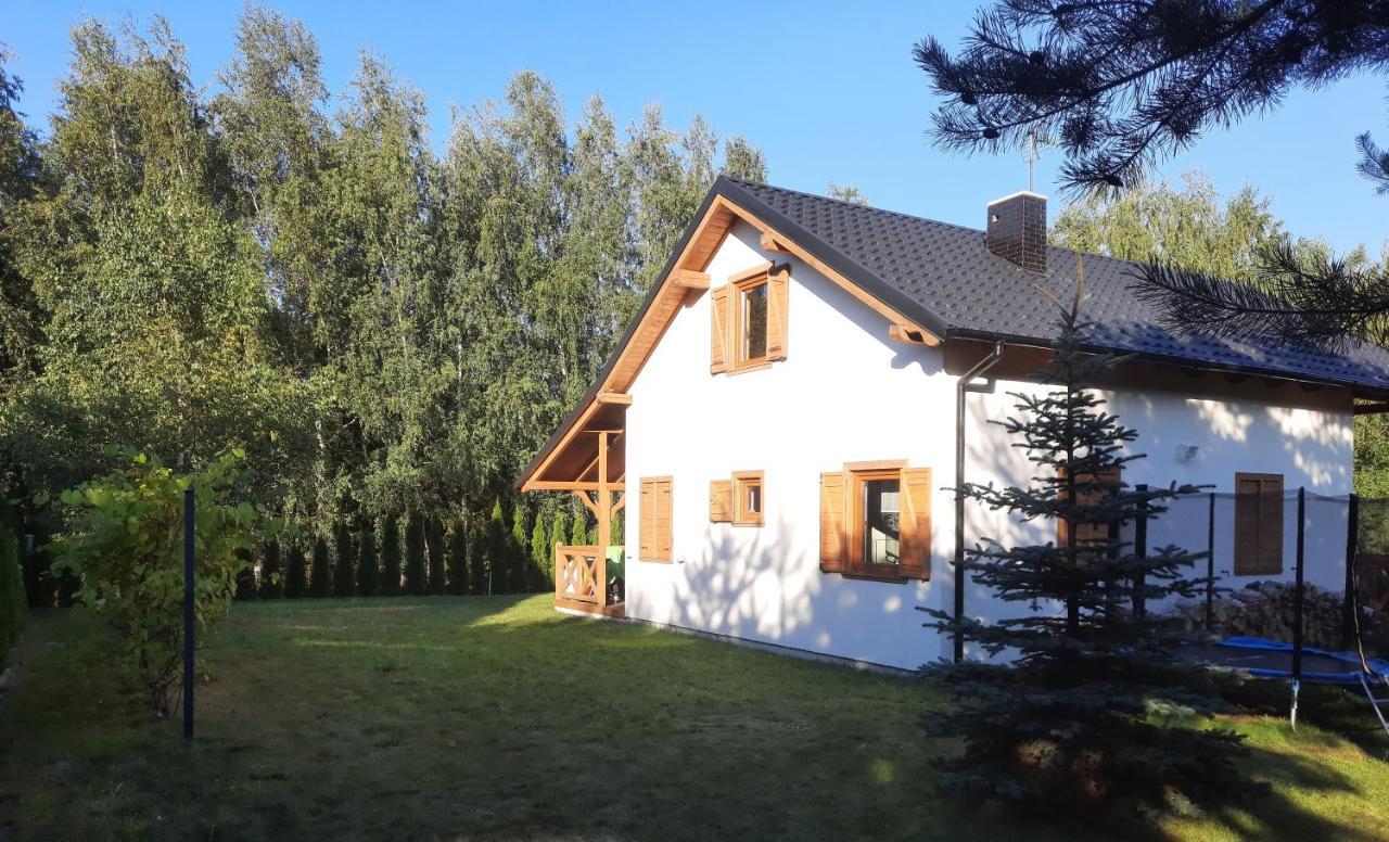 Domek Caloroczny Nad Jeziorem Budzislawskim, Wielkopolska Na Wynajem Anastazewo Екстер'єр фото