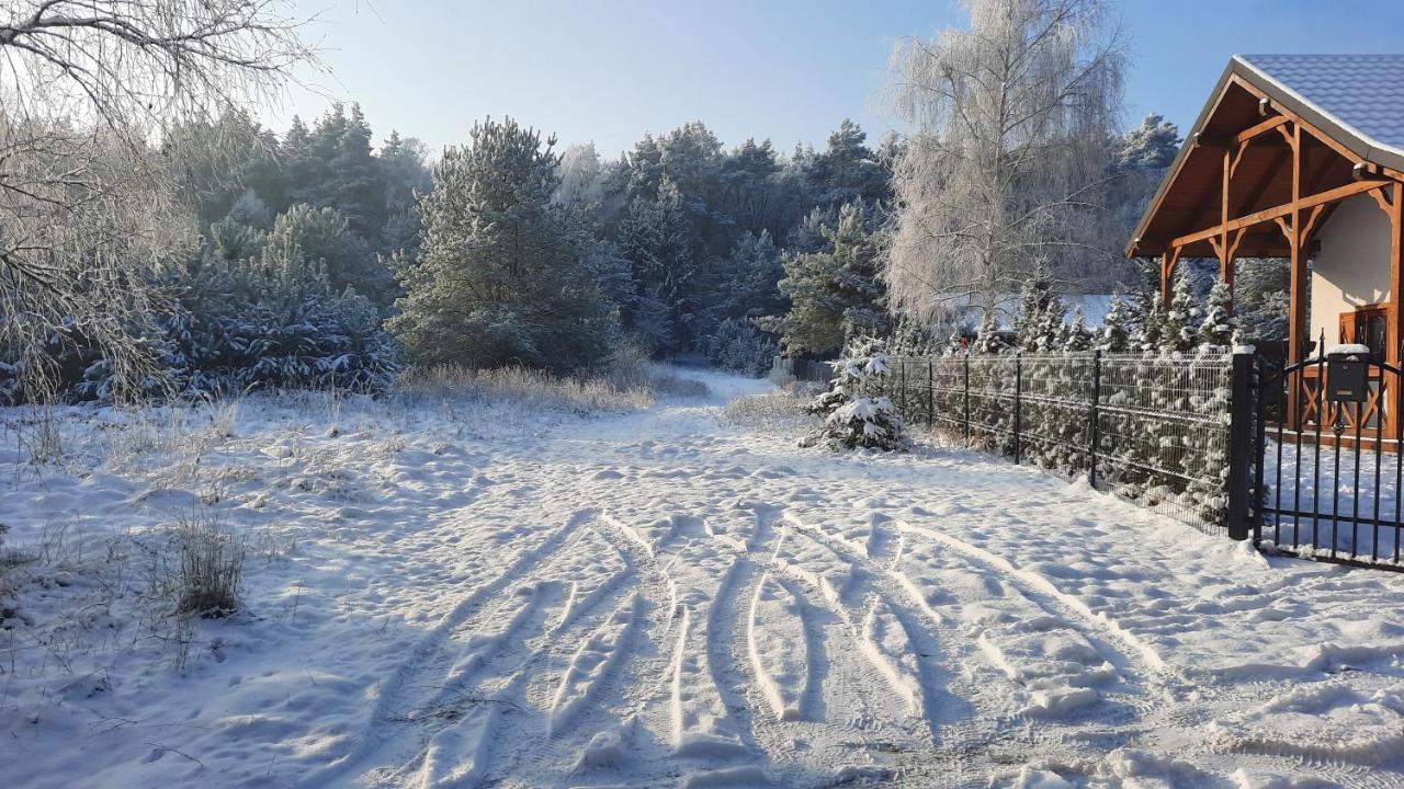 Domek Caloroczny Nad Jeziorem Budzislawskim, Wielkopolska Na Wynajem Anastazewo Екстер'єр фото