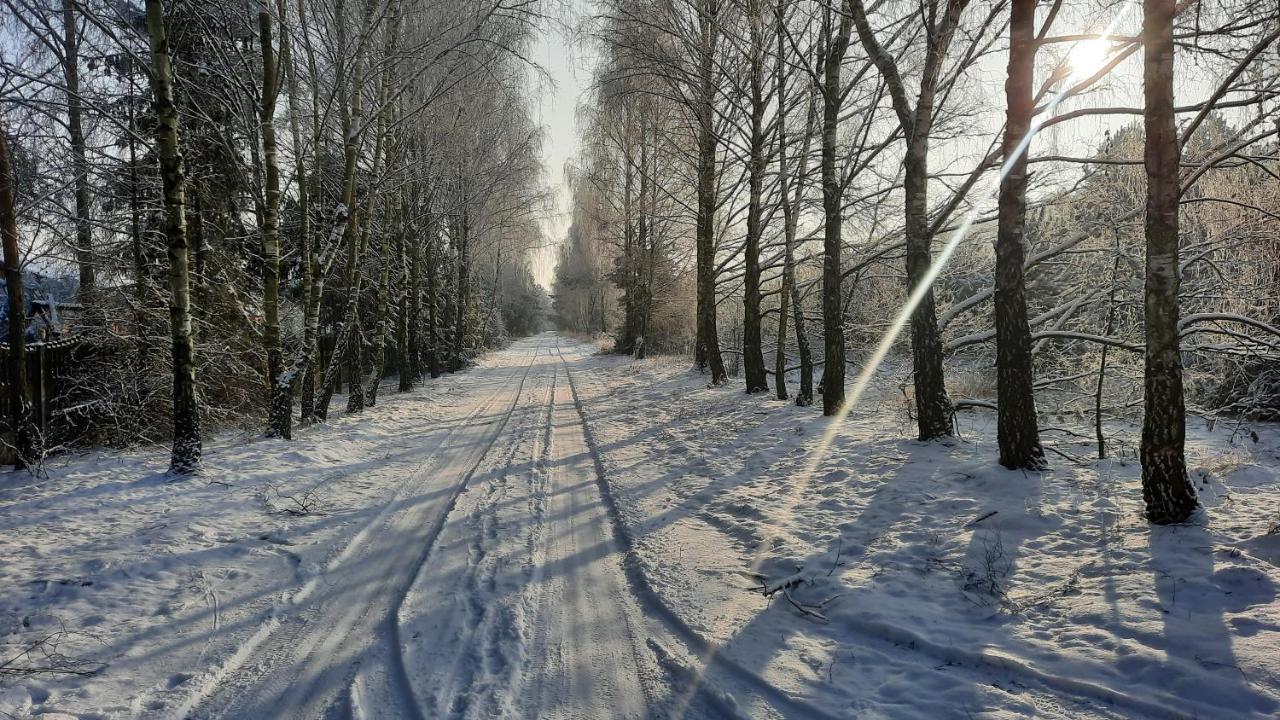 Domek Caloroczny Nad Jeziorem Budzislawskim, Wielkopolska Na Wynajem Anastazewo Екстер'єр фото