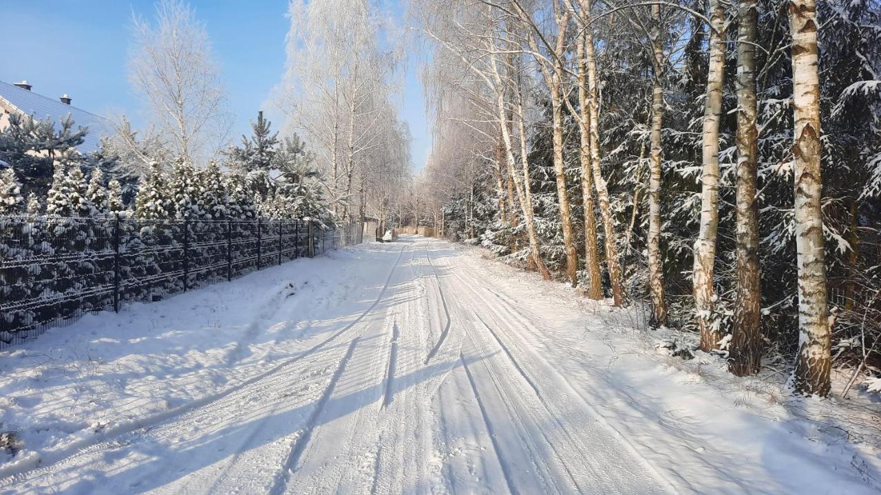 Domek Caloroczny Nad Jeziorem Budzislawskim, Wielkopolska Na Wynajem Anastazewo Екстер'єр фото
